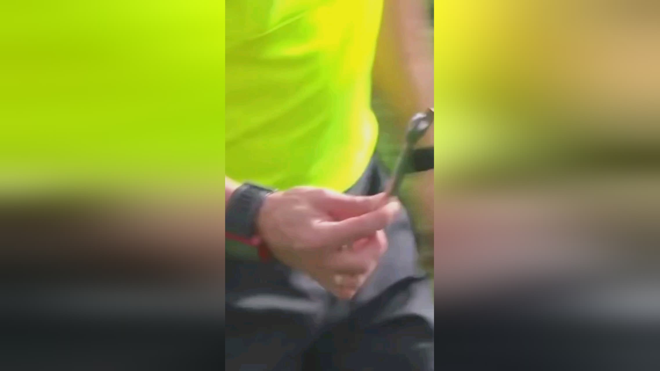 对手的
